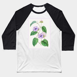 Hoary Jacquemontia Flower Branch Baseball T-Shirt